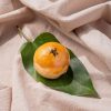 預購【肆月商鋪】經典鴛鴦蛋黃酥 12入