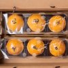 預購【肆月商鋪】經典鴛鴦蛋黃酥(6入裝)
