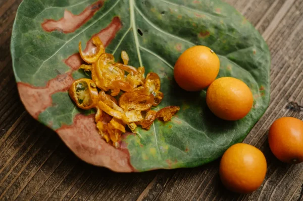 【肆月商鋪】低糖 金桔果乾 60g