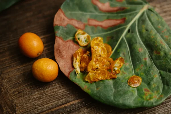 【肆月商鋪】低糖 金桔果乾 60g